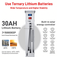 Panneau solaire pour caméra avec batterie LI 60W 80W 120W 240W 30-240AH, banque d'alimentation UPS DC12V 48V, panneaux solaires pour poteau de vidéosurveillance avec contrôleur MPPT