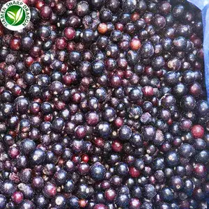 IQF Frozen Fresh blackcurrant Fruit Frozen blackcurrant Origin in china
