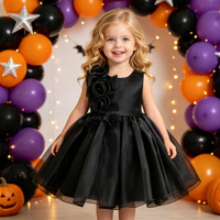 Robe de Soirée Princesse en Tulle pour Filles, Collection Printemps-Été 2026, Idéale pour Fêtes, Cérémonies, Anniversaires et Spectacles