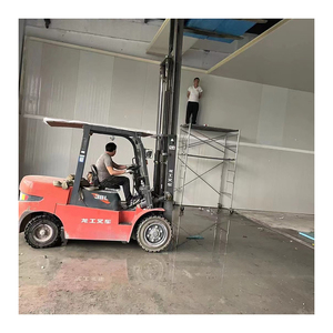 Cella frigorifera da 100 tonnellate con chiusura a camma con pannello in pu conservazione del congelatore per carne congelata profonda - Product Image 2