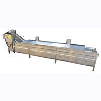 Industriële Voedselverwerkende Apparatuur/Fruit Blancheren Machine/Banaan Blancheren Machine