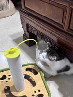 Nouveauté Best-seller : Jouet d'exercice et de fouillis pour chat en MDF/feutre écologique, utilisation intérieure/extérieure, jeu de puzzle carrousel pour animaux de compagnie, toutes les occasions