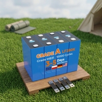 Ukraine Eu Stock batterie pack batterie externe 51 v 200ah 300ah 314ah 320ah énergie solaire intégrée avec batterie 15 kw