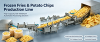 Complete automatische diepvriesfrieten turnkey verwerkingslijn 304 SS voor aardappel-friet voedselverwerkingsbedrijf CE ISO fabriek
