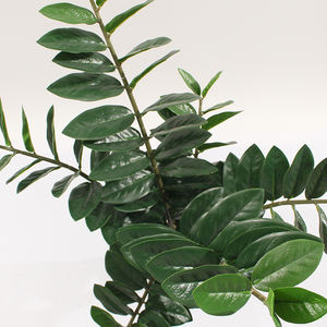 Di alta qualità di plastica quasi naturale 90cm 3ft pianta artificiale <span class=keywords><strong>ZZ</strong></span> Zamiifolia piante in vaso per la decorazione - Product Image 2