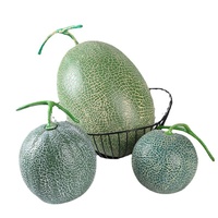 Voorraad Groothandel Vroeg Onderwijs Schieten Schetsen Rekwisieten Nep Fruitmodel Hoge Simulatie Realistisch Cantaloupe Plastic Handgemaakt