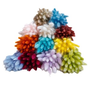 Kurzstieliges Mini Getrocknetes Hasenschwanzgras Konserviertes <span class=keywords><strong>Lagurus</strong></span> für Hochzeits-Konfetti Geschenkbox-Füller Hochzeitseinladungskarten-Deko - Product Image 5