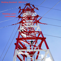 Torre de Telecomunicaciones de Acero Galvanizado de 60 m con Cables de Soporte Triangulares para Microondas y Telefonía Celular