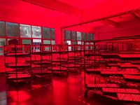 Panneau de luminothérapie rouge et infrarouge pour le soulagement de la douleur et la récupération musculaire, idéal pour les salles de yoga et l'usage domestique, modèle de bureau