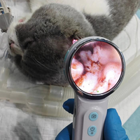 Otoscope vidéo HD portable EURVET pour équipement vétérinaire, endoscope numérique pour oreilles, caméra LED pour examen des oreilles des animaux