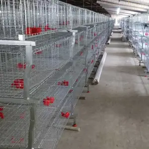 Jaula de gallinas ponedoras de huevos con marco de batería tipo U para granja avícola