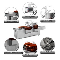 Machine d'emballage automatique de boîtes en carton pour serviettes Echo