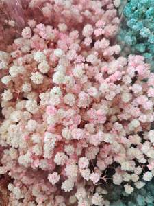 Вечные сохраненные детские цветы, Роскошные Цветные сухоцветы, цветы Гипсофилы - Product Image 5