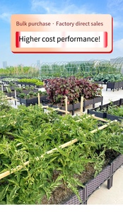 Hot Sell Plastic <b>Raised</b> Garden <b>Bed</b> Self Watering Elevated Planter Box Kit With Legs and Drainage Holes <b>for</b> Flowers - Product Image 6