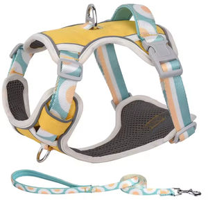 Laisse <span class=keywords><strong>pour</strong></span> chien <span class=keywords><strong>Harnais</strong></span> <span class=keywords><strong>pour</strong></span> animaux de compagnie Sangle de poitrine Laisse <span class=keywords><strong>pour</strong></span> chien Oxford <span class=keywords><strong>Harnais</strong></span> personnalisé durable <span class=keywords><strong>pour</strong></span> bouledogue français <span class=keywords><strong>Chihuahua</strong></span> Carlin Marche en plein air - Product Image 6