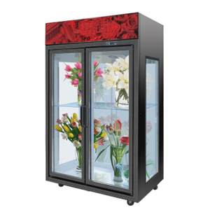 Refrigerador Comercial de Doble Puerta con Vidrio para Flores, Refrigerador Vertical de Exhibición para Flores - Product Image 4
