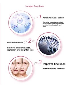 2025 Hot Sale New for Home Promotional Price Hair & Facial Care 3 in 1 Electroperforation Beauty Therapy Beauty Machine - Product Image 6