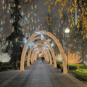 Lampadaire extérieur commercial, décorations du jour de l'an et de Noël, lampadaires à poteau étanches IP65, lampes à motifs de paysage urbain - Product Image 2