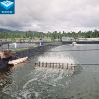 Géomembrane HDPE pour la régulation des eaux de récupération des décharges de déchets et la couverture des piscines
