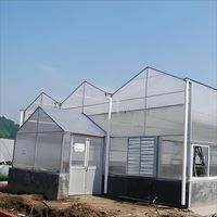 Structure de serre agricole commerciale multi-travées en polycarbonate (plaque PC) de grande taille