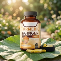 Soutien Articulaire Végétalien Naturel Bioperine Poivre Noir Curcuma Gingembre