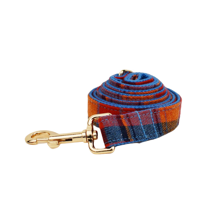 Blue-Leash