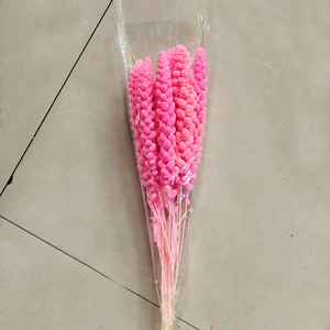 Lot de 10 tiges naturelles séchées au soleil de <span class=keywords><strong>millet</strong></span>, d'épis de blé et de sorgho, matériel floral séché pour bouquets faits main - Product Image 5