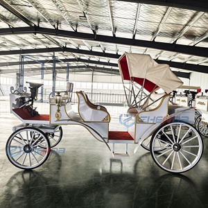 China Xuchang Zhenda Machinery Electric Sightseeing Carriage Classical <b>White</b> Wagon Soft Seat Royal Horseless Design 6-Person - Product Image 6