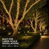 Guirlandes lumineuses LED en PVC commercial avec options d'alimentation solaire ou basse tension 24V