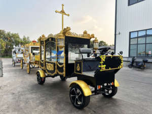 Carro de <span class=keywords><strong>caballos</strong></span> eléctrico más vendido y carro fúnebre tirado por <span class=keywords><strong>caballos</strong></span> a la venta - Product Image 2