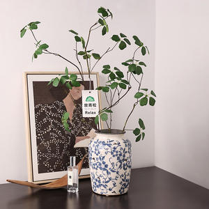 Haut de gamme Vintage chinois fissure de glace Vase en céramique porcelaine Pot de fleur de table traditionnel <span class=keywords><strong>Art</strong></span> déco Design pour la décoration intérieure - Product Image 2