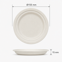 Assiette Ronde Jetable Compostable en Bagasse de Canne à Sucre de 10 Pouces, Meilleure Vente, pour Mariages, Fêtes et Traiteur