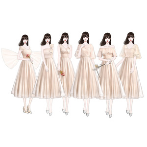 Bridesmaid Dress Champagne Color A-Line Tulle Sweetheart Neckline Long Formal Evening Dress For Wedding Party Graduation - Product Image 5