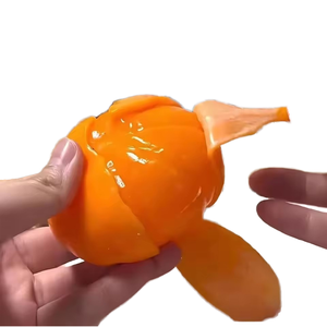 Nueva Llegada: Pelota Antiestrés de Frutas, Bolas Sensoriales Elásticas de Naranja con Cuentas de Agua, Juguetes TPR para Aliviar la Ansiedad para Niñas y Niños - Product Image 1