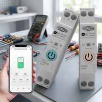 Interrupteur intelligent WIFI VOLTRIQ 1P+N 63A 110V 220V avec compteur d'énergie Kwh, disjoncteur et relais temporisé pour usage domestique intelligent