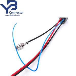 Conector YB Personalizado 346027-1 Conector de Bomba de Combustível Automotiva de 2 Pinos com Fiação - Product Image 5