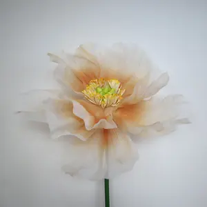 Yapay degrade haşhaş serigraf çiçek kafa paskalya dekorasyonu düğün aksesuarları sahne düzeni doğal korunmuş çiçekler
