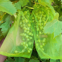 Extra große weiß-grüne Trauben-Erdbeer-Frucht-Gemüse-Schutzbeutel aus Organza-Netzgewebe mit Kordelzug gegen Insekten