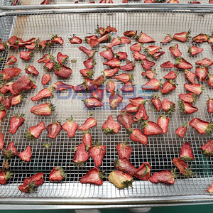 Energy Saving Fruit Drying Room Strawberry Drying Oven Room Strawberry Dehydrator Machine Heated Drying Room - Product Image 3