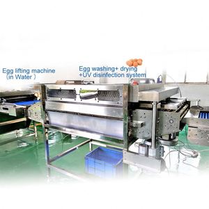 Commercial Stainless Steel Brush Eggs Washing and Drying Machine Automatic Egg <b>Washer</b> Cleaner Machine - Product Image 3