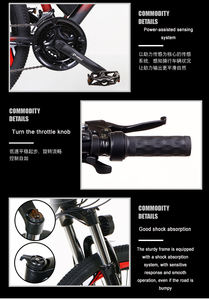 Richeliovic 2021 — vélo électrique de 26 pouces, 250w, batterie de 36V 10A, vtt étanche, haute qualité - Product Image 4