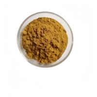 Natuurlijk Monk Fruit Zoetstof Extract Poeder Mogroside V Luo Han Guo Siraitia Grosvenorii