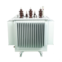 Transformador de Distribución de Energía Sumergido en Aceite Dyn11 de 250KVA 10.5KV 0.4KV 50Hz