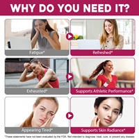 SOLOTREE Poudre de Betterave Extrait Herbal Énergie Circulatoire Santé Cardiaque Alimentation Santé Qualité Alimentaire Emballage Sous Vide Stock Disponible