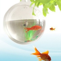 Vase et pot de fleurs en acrylique mural, aquarium créatif monobloc pour poissons rouges, décoration d'intérieur