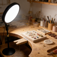 Anneau lumineux LED 10 pouces avec support, luminosité réglable, extensible, alimentation CA/CC, contrôle filaire, kit d'éclairage portable pour maquillage