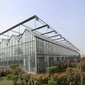 Greenhouse agrícola de vidro de casa verde multi-span, com sistema de hidroponia para cultivo de legumes