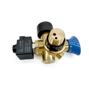 Hot selling high pressure cng cylinder solenoid valve coil for vehicle