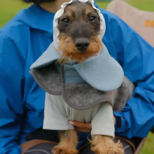 Ropa personalizada de alta calidad para el hogar de mascotas con eslogan, ropa personalizada para perros, ropa personalizada para perros - Product Image 4