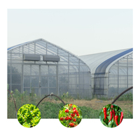 Approvisionnement d'Usine Système Modulaire Poly Automatisé Tunnel de Film Serre Horticole pour l'Agriculture